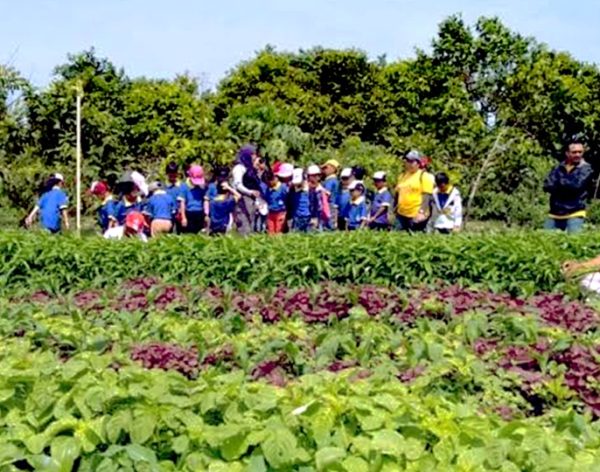 slider-kawasan-agribisnisl-thumbnail.jpg