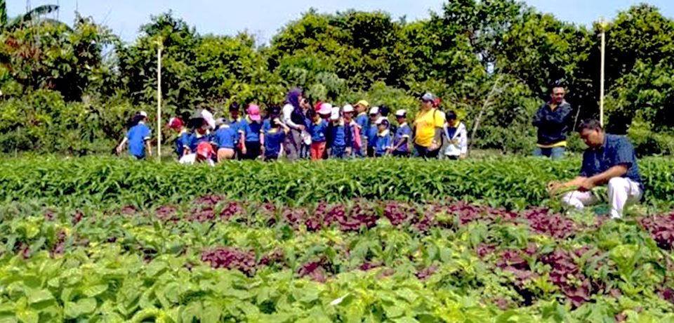 slider-kawasan-agribisnisl-thumbnail.jpg